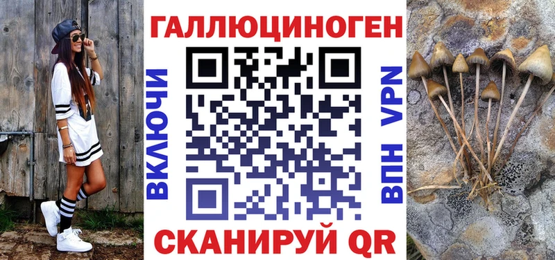 MEGA ссылка  Суровикино  Псилоцибиновые грибы Cubensis 